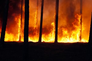 Yosemite fire and global warming